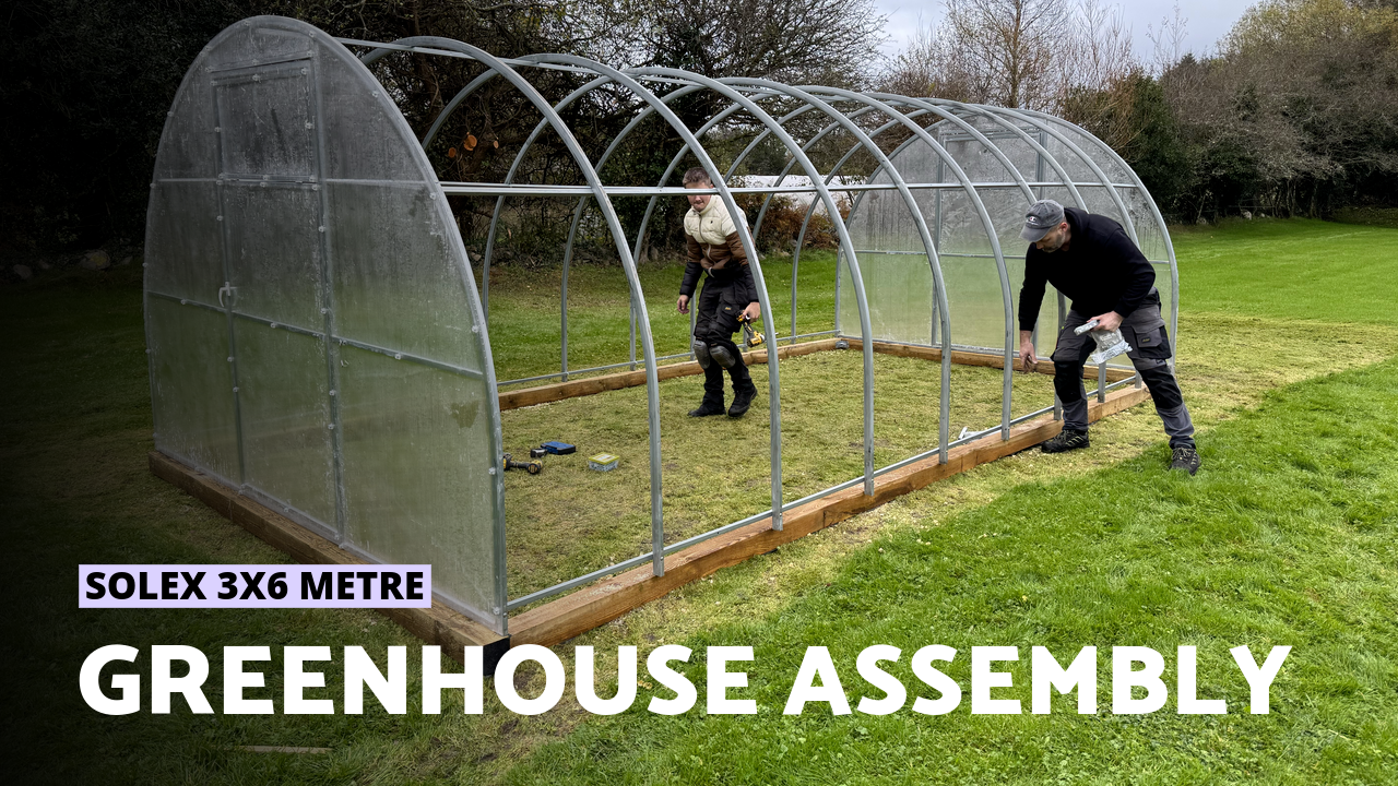 Polycarbonate Greenhouse Solex 3x6 m | How to Assemble