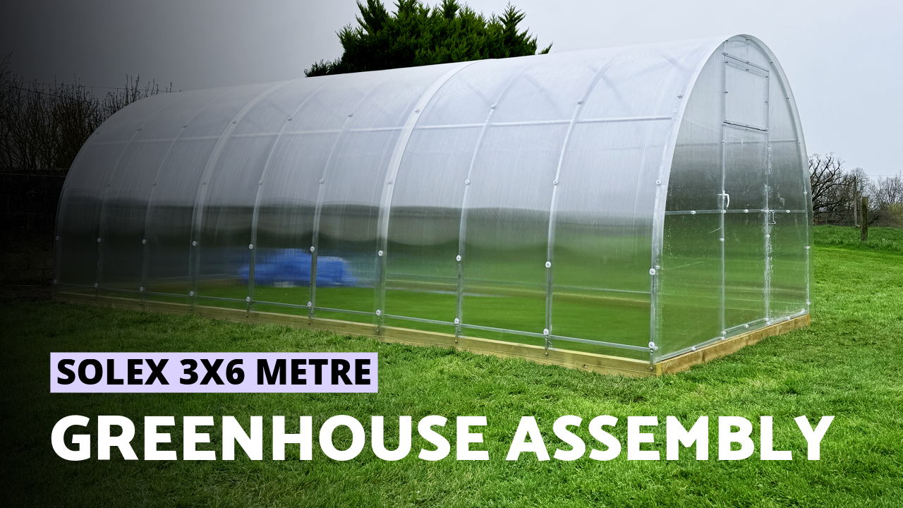 Polycarbonate Greenhouse Solex 3x6 m | How to Assemble