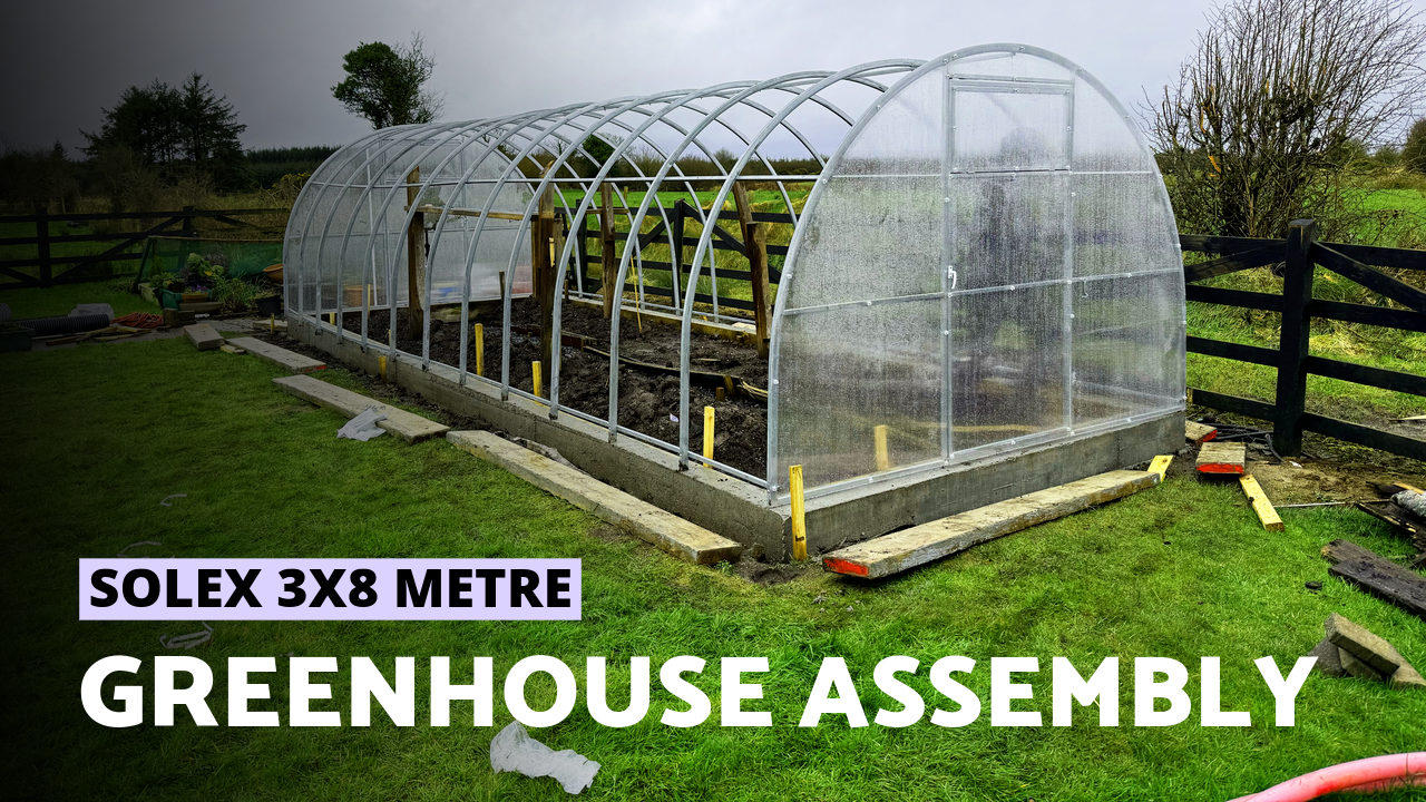 Polycarbonate Greenhouse Solex 3x8 m | How to Assemble
