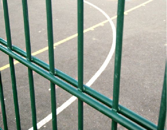 BUY 868 Twin Wire Mesh Panel For Fencing, 1830x2500 mm(6 ft), Powder Coated, ZN+RAL6005 | GREEN FINGER IRELAND