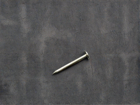 BUY 2x20 mm, Roofing Nails, Pack 0.5 kg, Galvanized | GREEN FINGER IRELAND