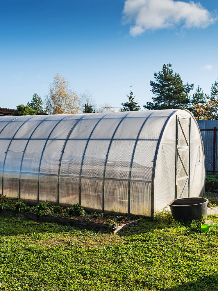 BUY Greenhouse | Green Finger Ireland