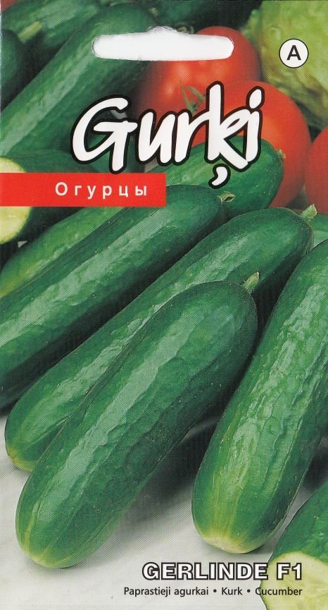 BUY Cucumbers smooth GERLINDE F1. Cucumber seeds 7pcs (Cucumis sativus L.) | GREEN FINGER IRELAND | For Sale