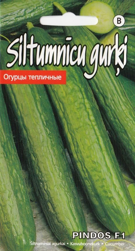 BUY Cucumbers in the greenhouse PINDOS F1. Cucumber seeds 7pcs (Cucumis sativus L.) | GREEN FINGER IRELAND | For Sale