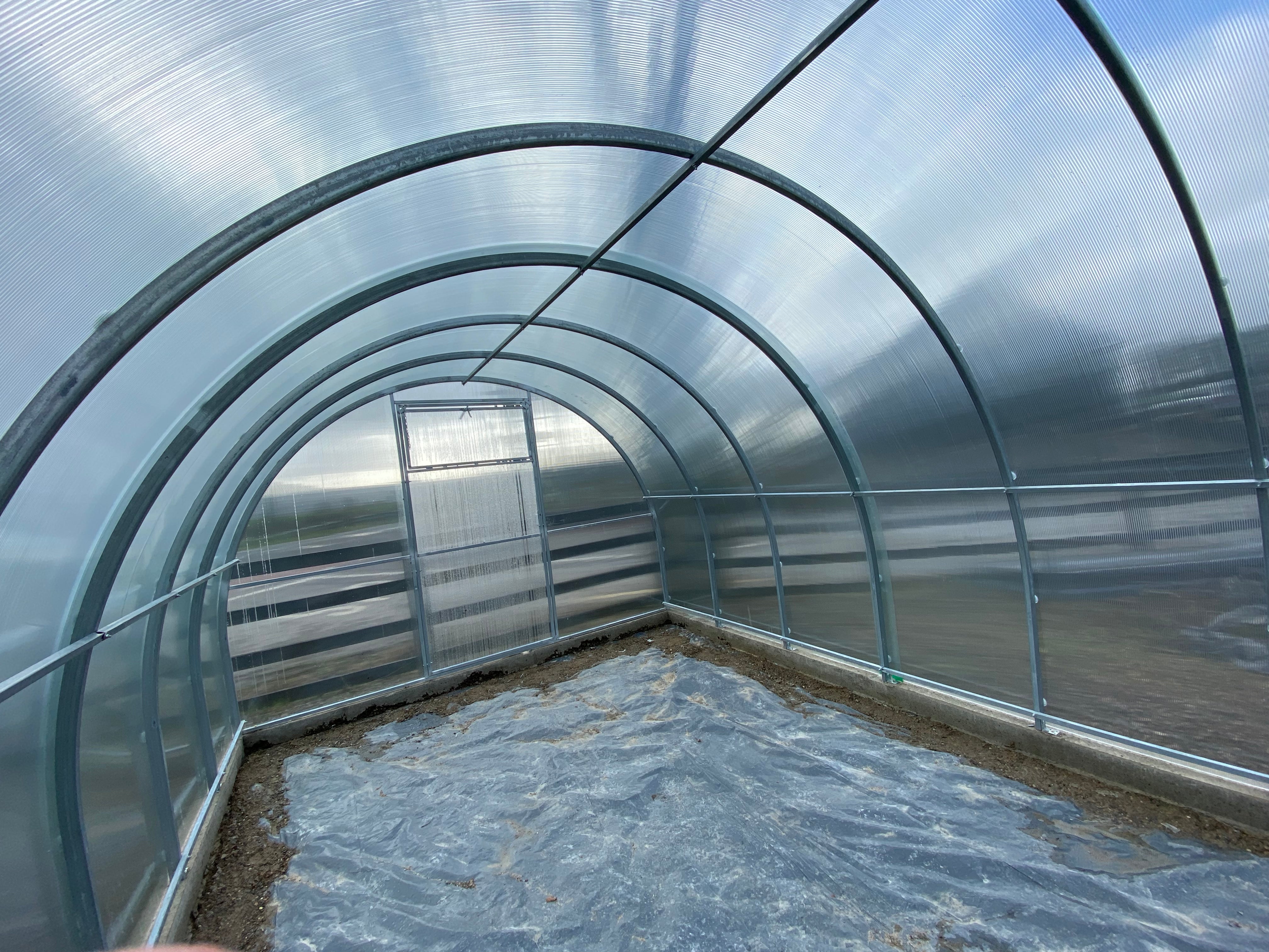 BUY Greenhouse SOLEX 3x4m (9.8x13.1 ft) 4mm Polycarbonate | GREEN FINGER IRELAND | For Sale