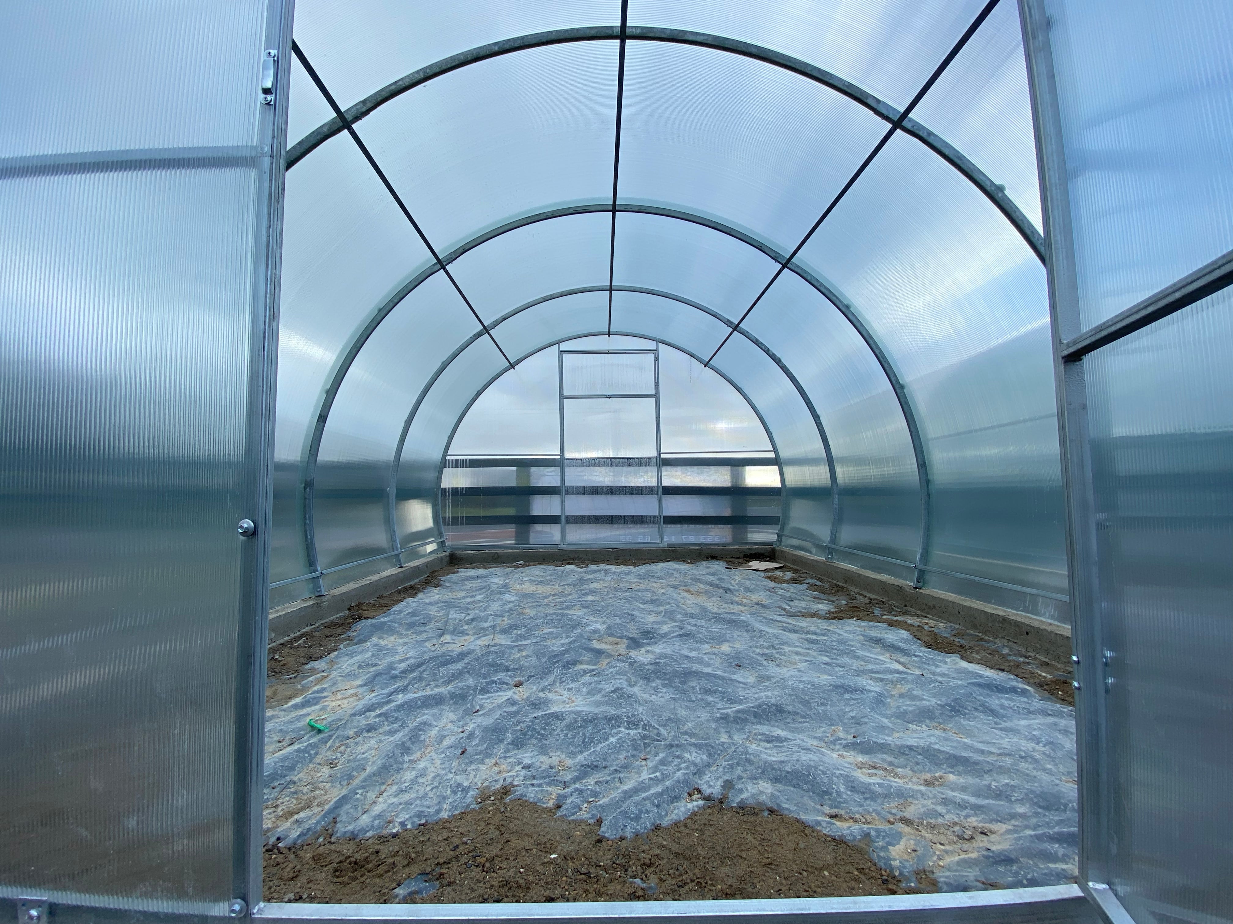 BUY Greenhouse SIMPLE 3x6m (9.8x19.7 ft) 6mm Polycarbonate | GREEN FINGER IRELAND | For Sale