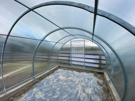 BUY Greenhouse SIMPLE 3x10 m (9.8x32.8 ft) 4 mm Polycarbonate | GREEN FINGER IRELAND | For Sale