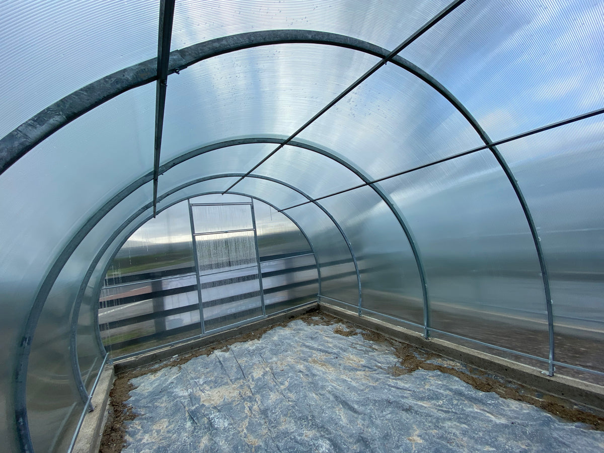 BUY Greenhouse SIMPLE 3x10 m (9.8x32.8 ft) 4 mm Polycarbonate | GREEN FINGER IRELAND | For Sale