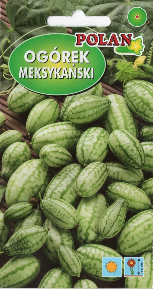 BUY Melotria - Mexican cucumbers. Melotria scabra seeds 10pcs (Melothria scabra) | GREEN FINGER IRELAND | For Sale