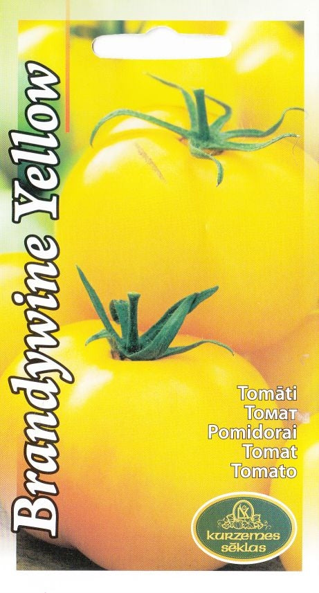 BUY Tomatoes BRANDYWINE YELLOW. Tomato seeds 0.1g (Lycopersicon esculentum) | GREEN FINGER IRELAND | For Sale