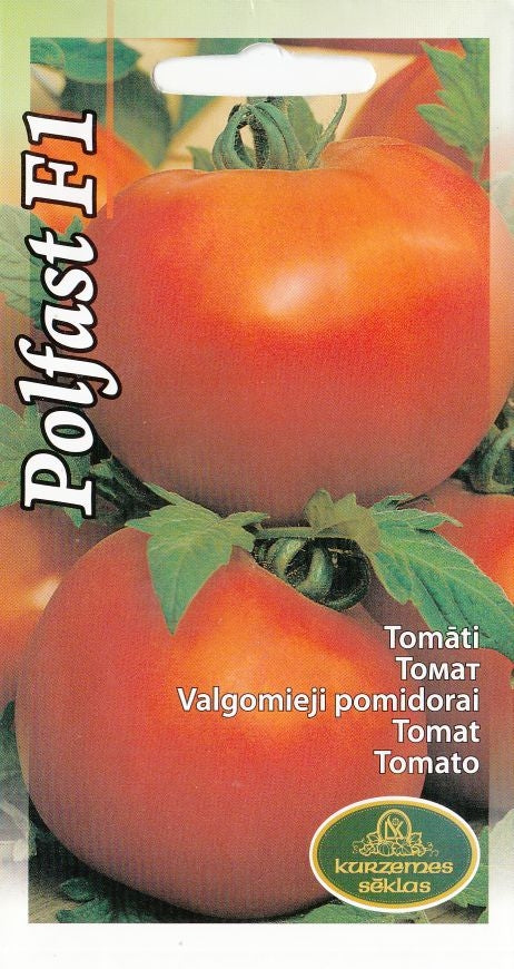 BUY Tomatoes POLFAST F1. Tomato seeds 15pcs (Lycopersicon lycopersicum) | GREEN FINGER IRELAND | For Sale