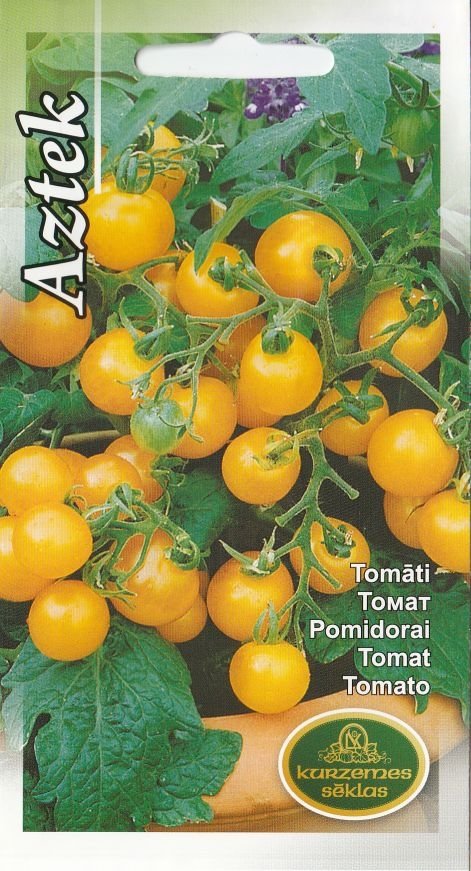 BUY Balcony tomatoes AZTEK. Tomato seeds 0.1g (Lycopersicon esculentum) | GREEN FINGER IRELAND | For Sale