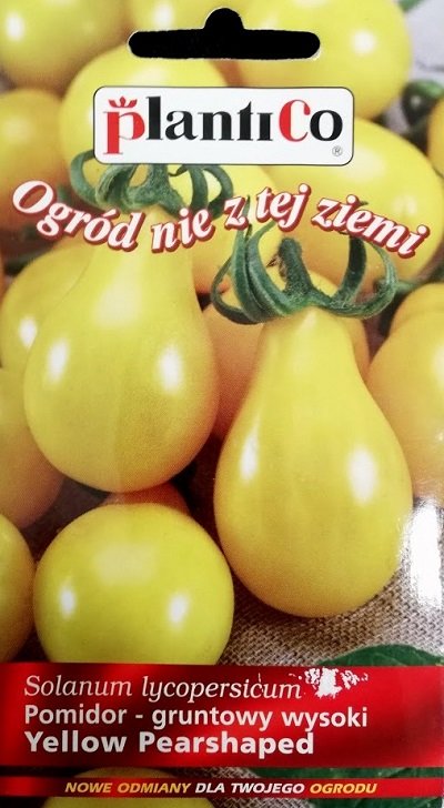 BUY Tomatoes yellow YELLOW PEARSHAPED. Tomato seeds 0.2g (Solanum lycopersicum) | GREEN FINGER IRELAND | For Sale