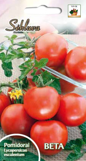 BUY Tomatoes field BETA. Tomato seeds 0.3 g (Lycopersicon esculentum) | GREEN FINGER IRELAND | For Sale