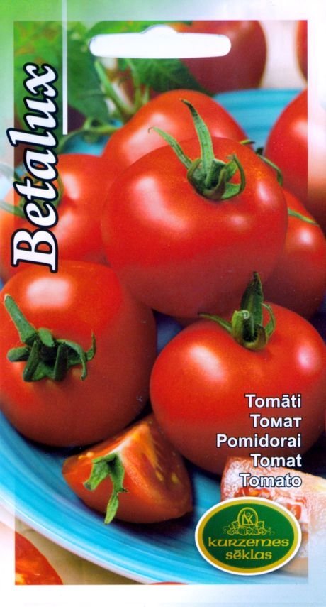 BUY Tomatoes field BETALUX. Tomato seeds 0.3 g (Lycopersicon esculentum) | GREEN FINGER IRELAND | For Sale