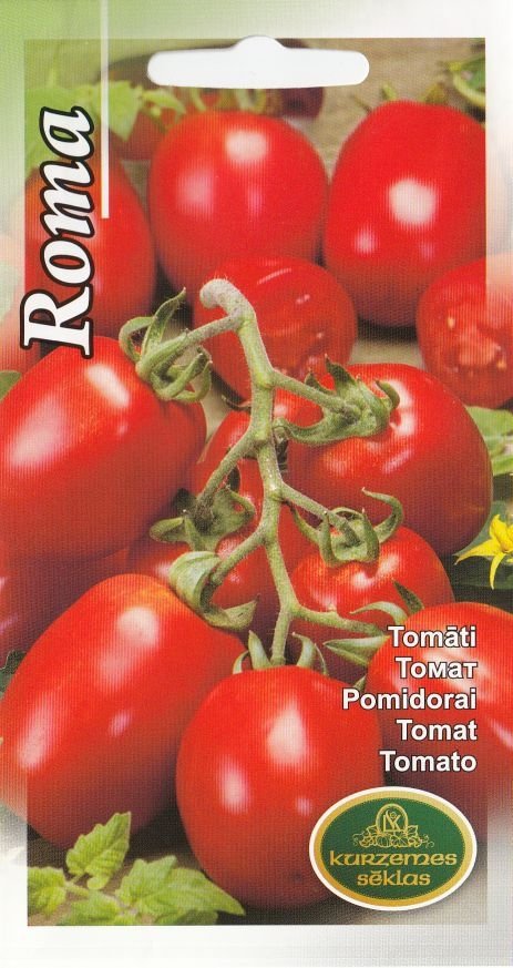 BUY Tomatoes ROME. Tomato seeds 0.2g (Lycopersicon lycopersicum) | GREEN FINGER IRELAND | For Sale