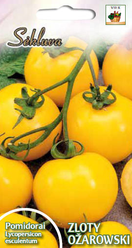 BUY Tomatoes golden ZLOTY OŽAROWSKI. Tomato seeds 0.2g (Lycopersicon esculentum) | GREEN FINGER IRELAND | For Sale