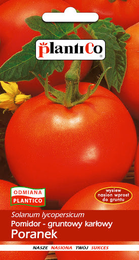 BUY Tomatoes low PORANEK. Tomato seeds 1g (Lycopersicon esculentum) | GREEN FINGER IRELAND | For Sale