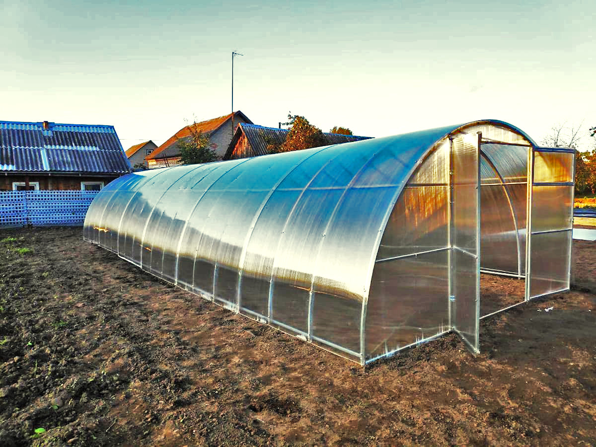 BUY Greenhouse COMFORT PROF 4x12m 6mm Polycarbonate | GREEN FINGER IRELAND | For Sale