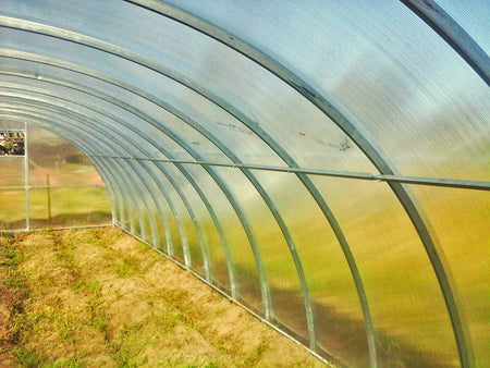 BUY Greenhouse COMFORT PROF 4x8m 6mm Polycarbonate | GREEN FINGER IRELAND | For Sale