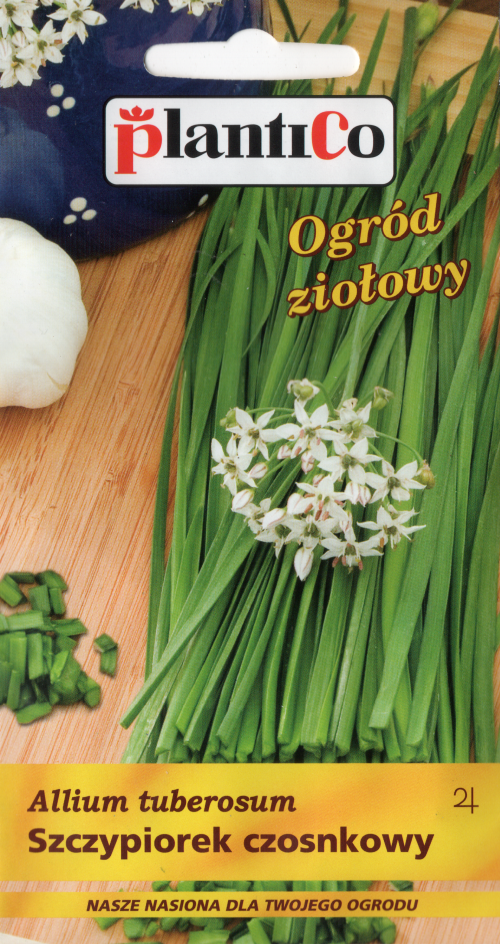 BUY Chinese garlic. Garlic. Chinese garlic seeds 1g (Allium tuberosum) | GREEN FINGER IRELAND | For Sale