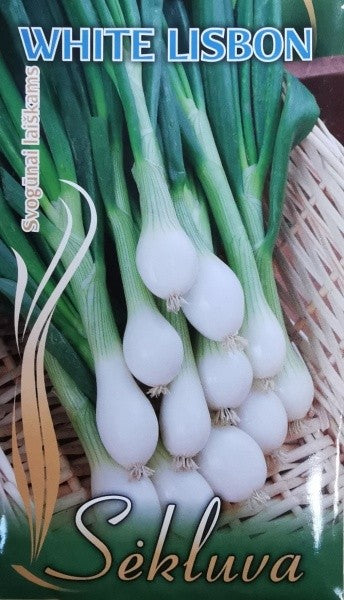 BUY WHITE LISBON. Onion seeds 1g (Allium fistulosum) | GREEN FINGER IRELAND | For Sale