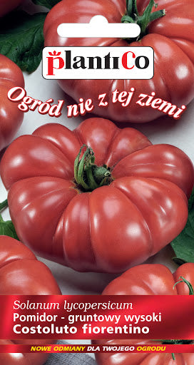 BUY Tomatoes COSTOLUTO FIORENTINO. Tomato seeds 0.2g (Solanum lycopersicum) | GREEN FINGER IRELAND | For Sale