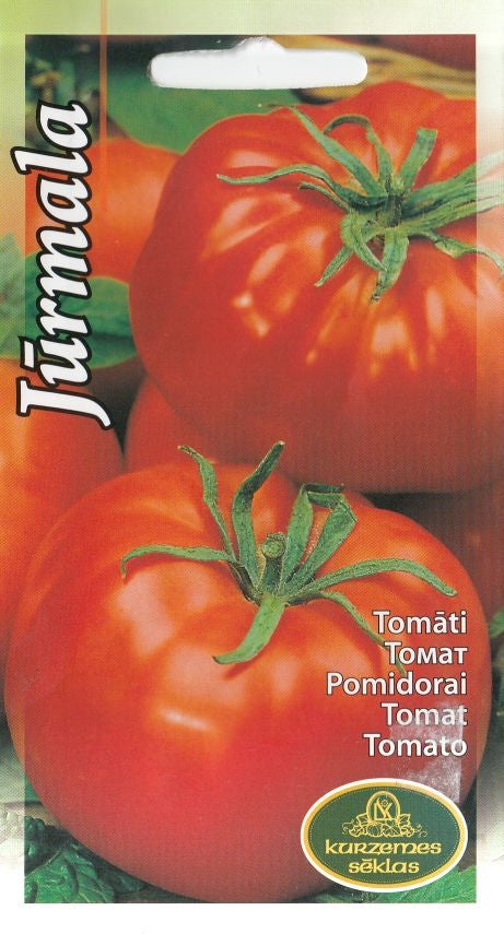 BUY Tomatoes Jurmala. Tomato seeds 0.1 g (Lycopersicon lycopersicum) | GREEN FINGER IRELAND | For Sale